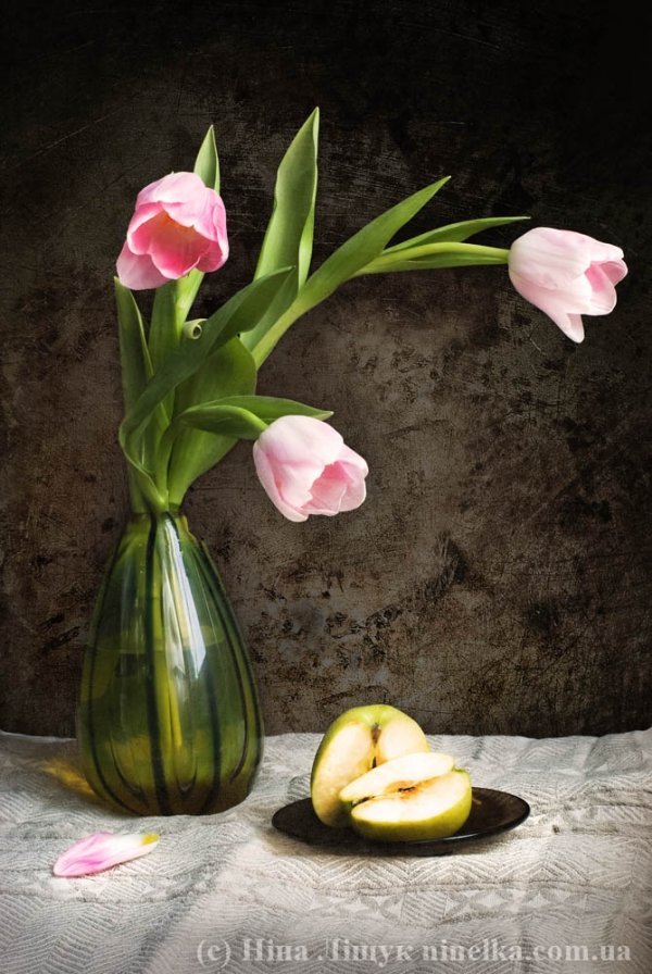 Фотовиставка Ніни Ліщук